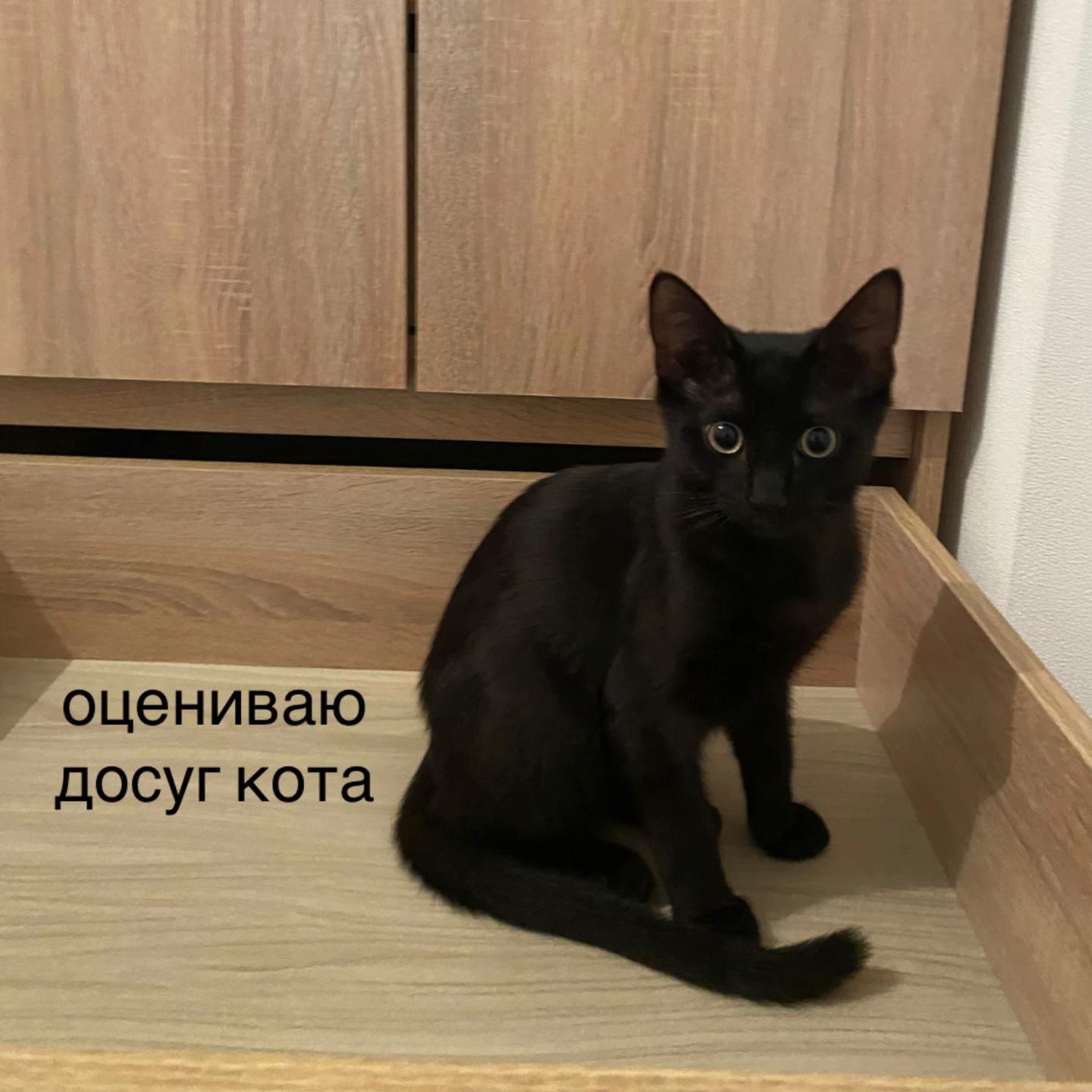 @хуро