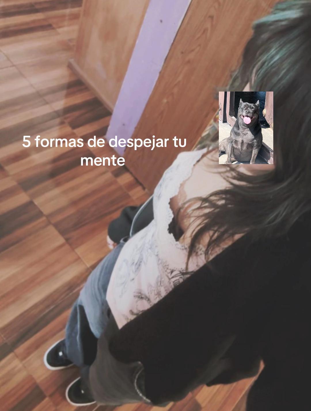 @𝐘