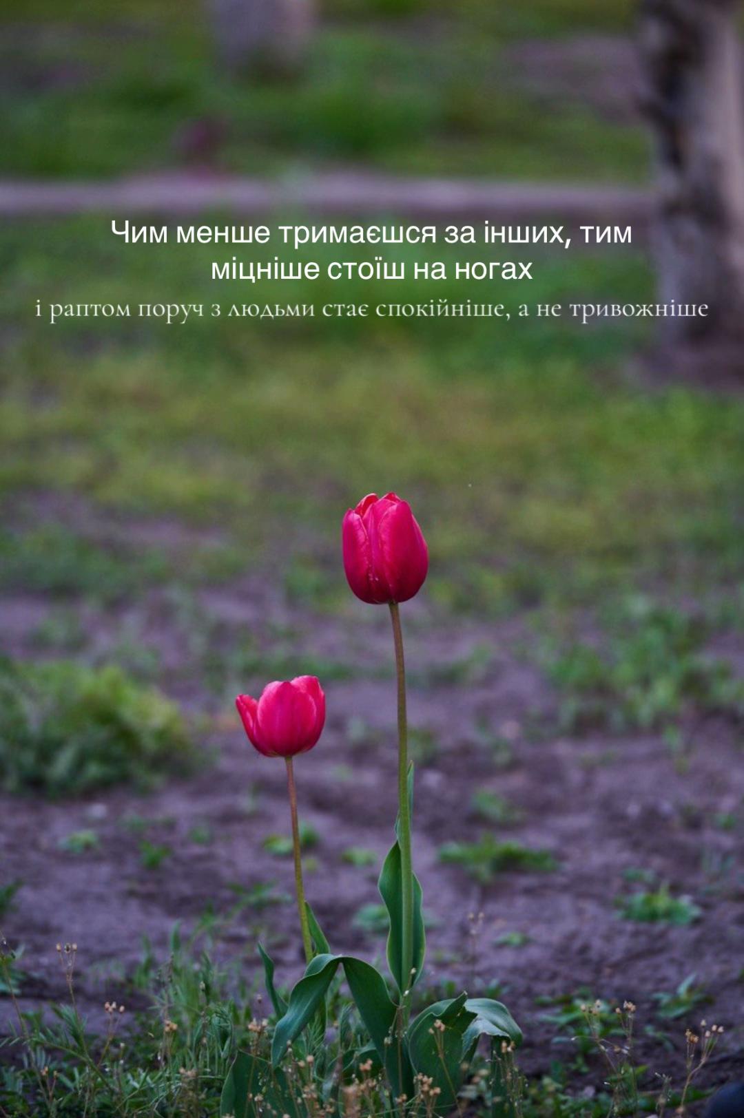 @vvostrovva_psy