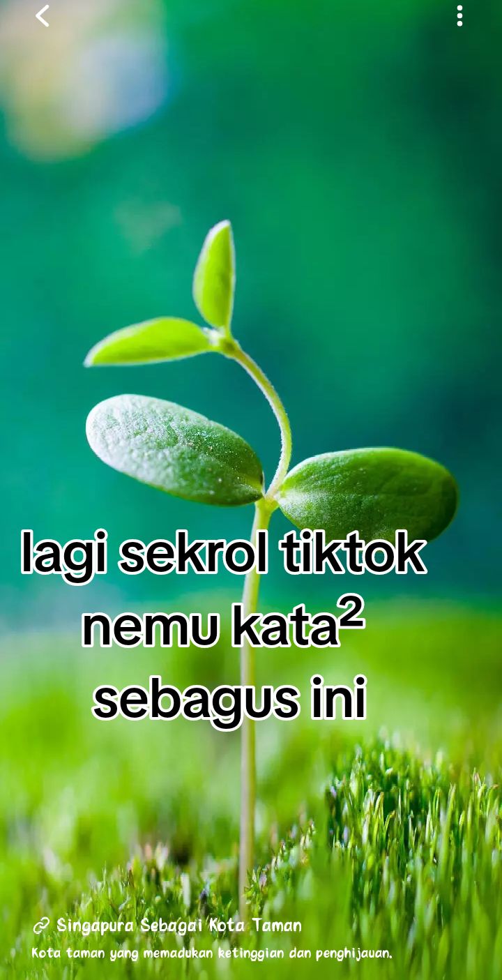 @istriazzamsyukron😁