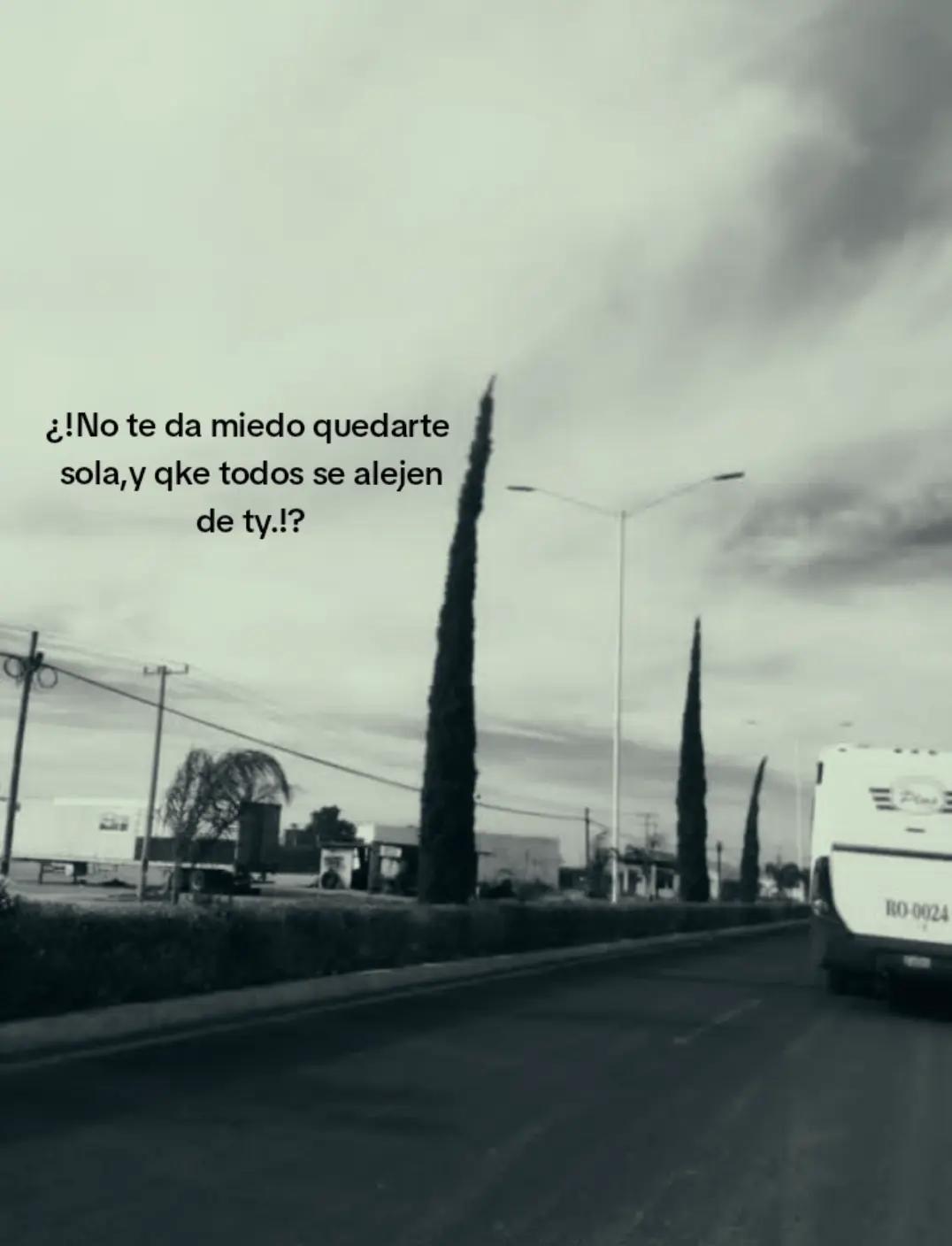 @𝄞∘˙⋆˚࿔.SOFIA.🦢𝜗𝜚˚⋆. 𐙚