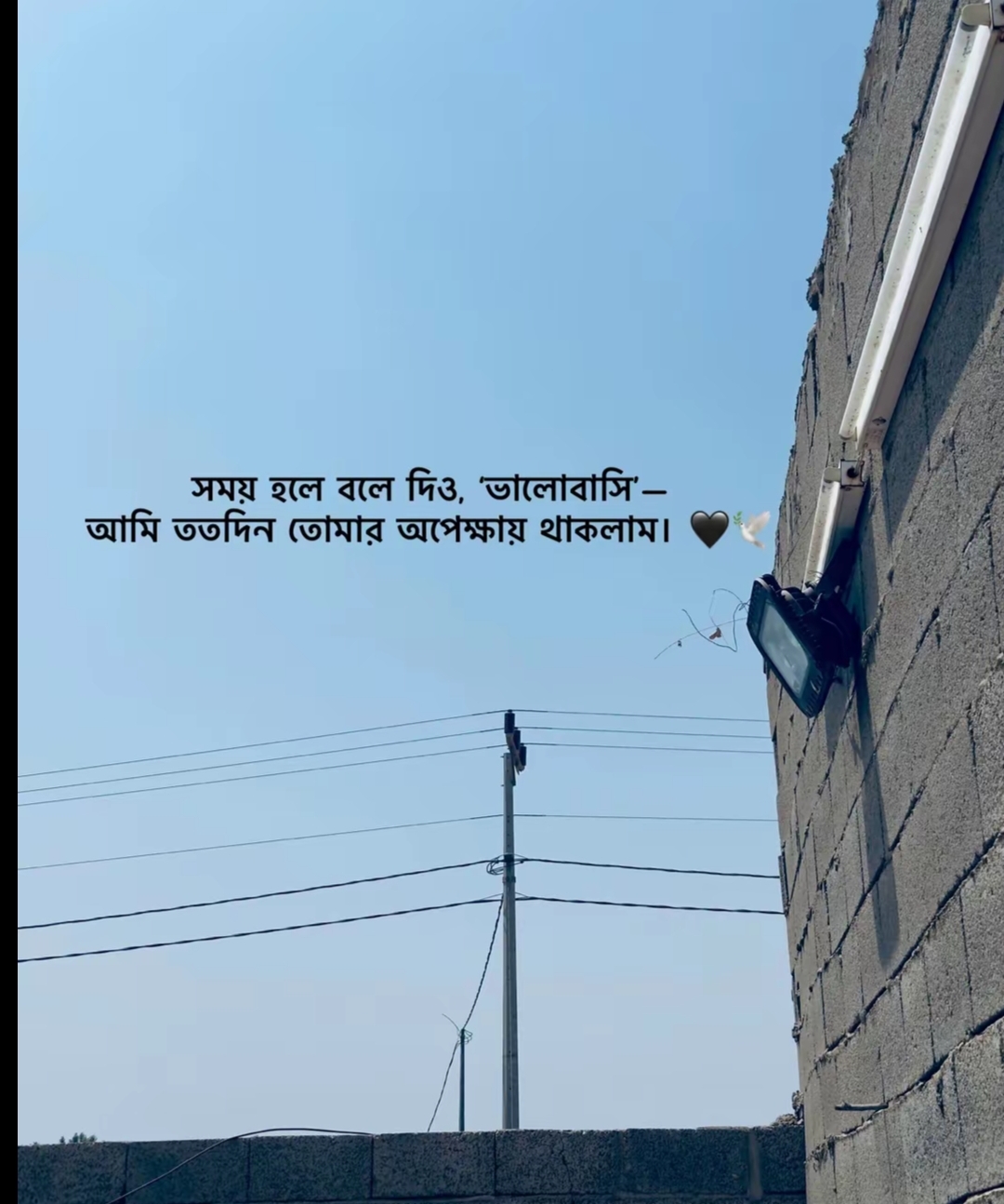 @Mohammad Ullah