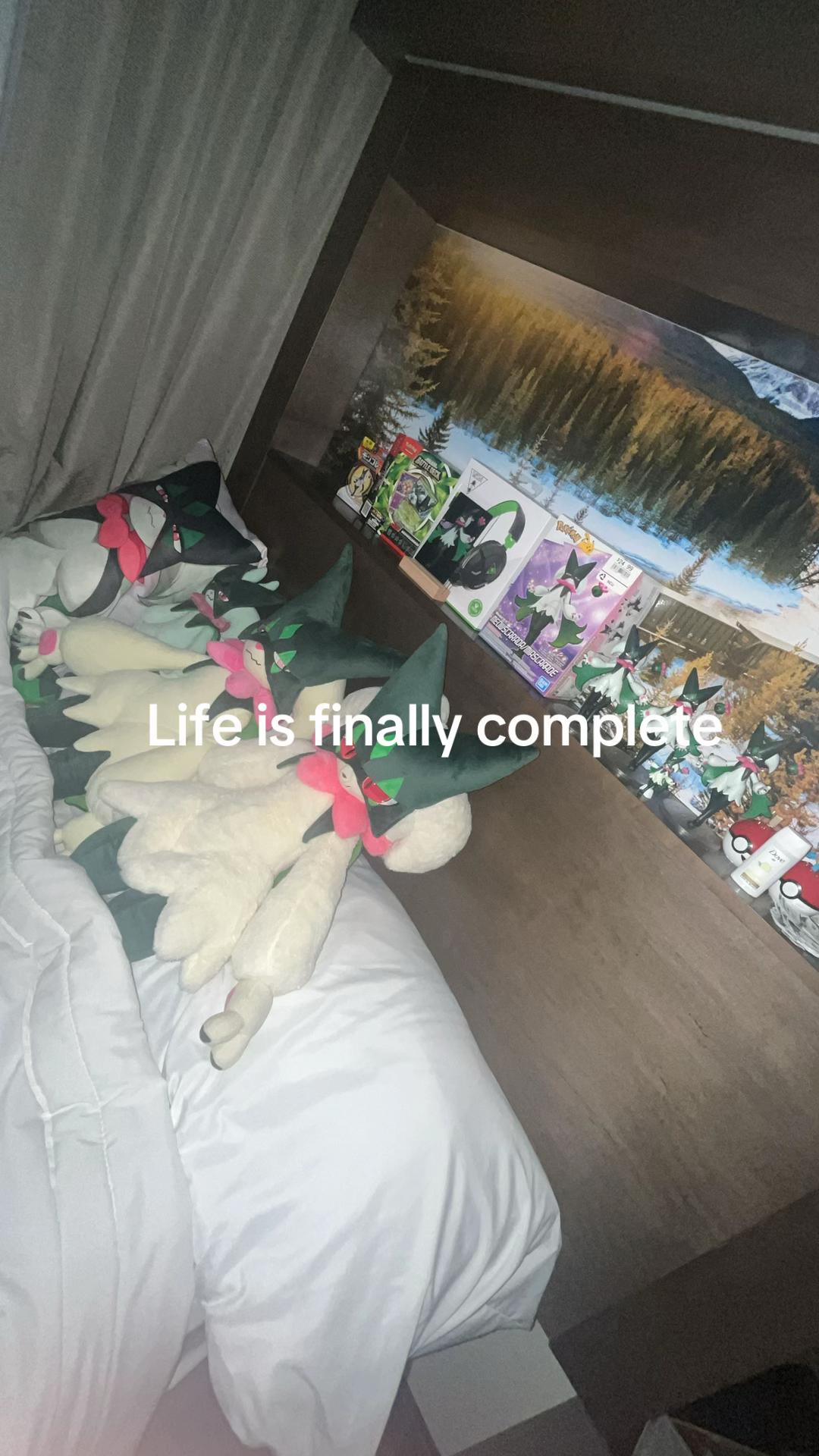 @True meowscarada fan 14