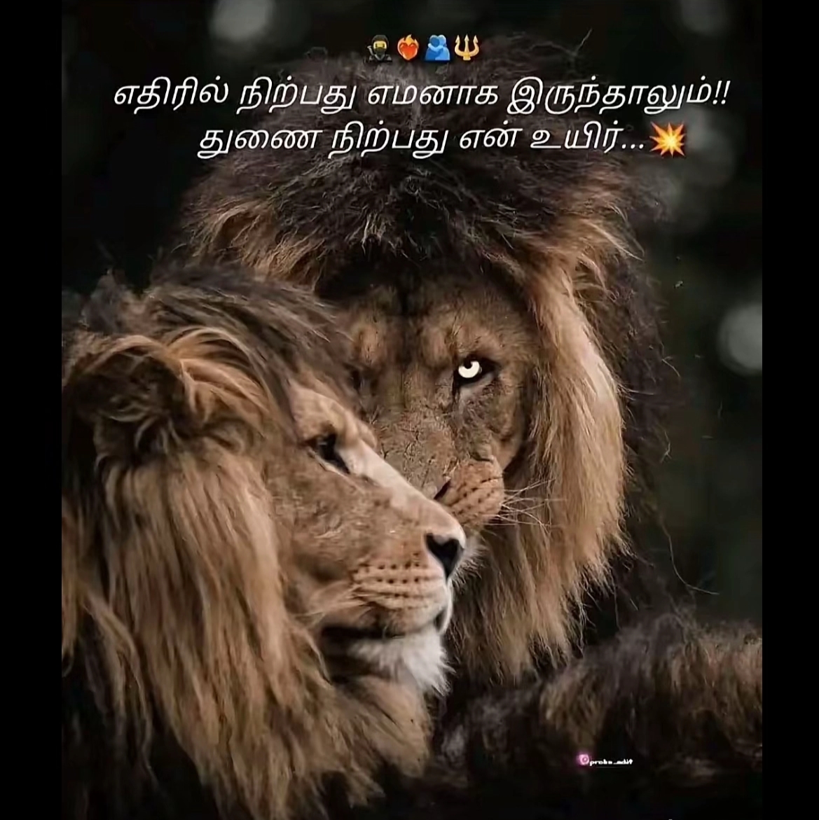 @&hearts;️&radic;Rj&radic;joy&radic;&hearts;️&radic;^