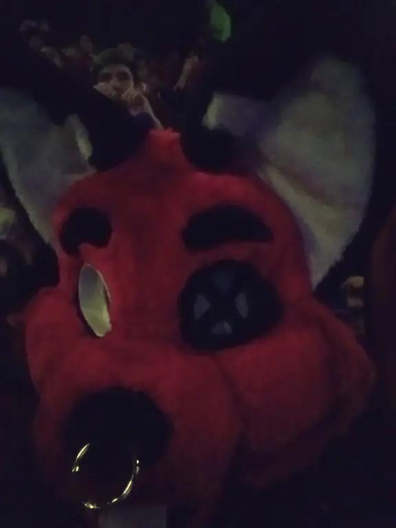 @DYN WOLF
