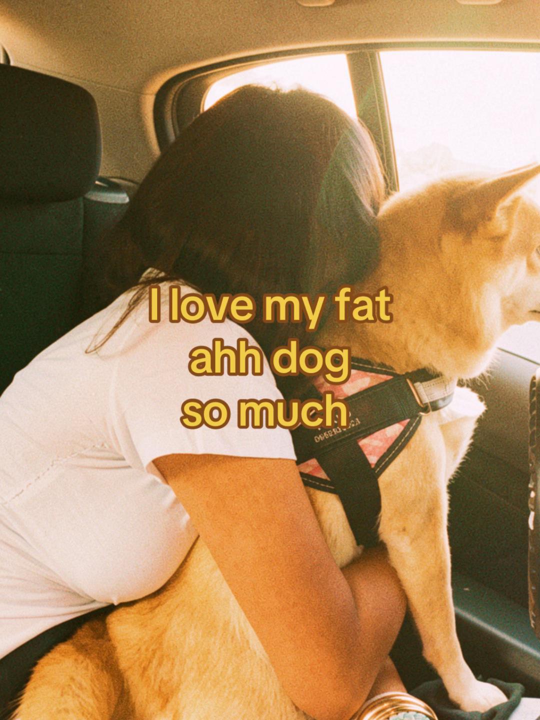 @misterjigglelicious