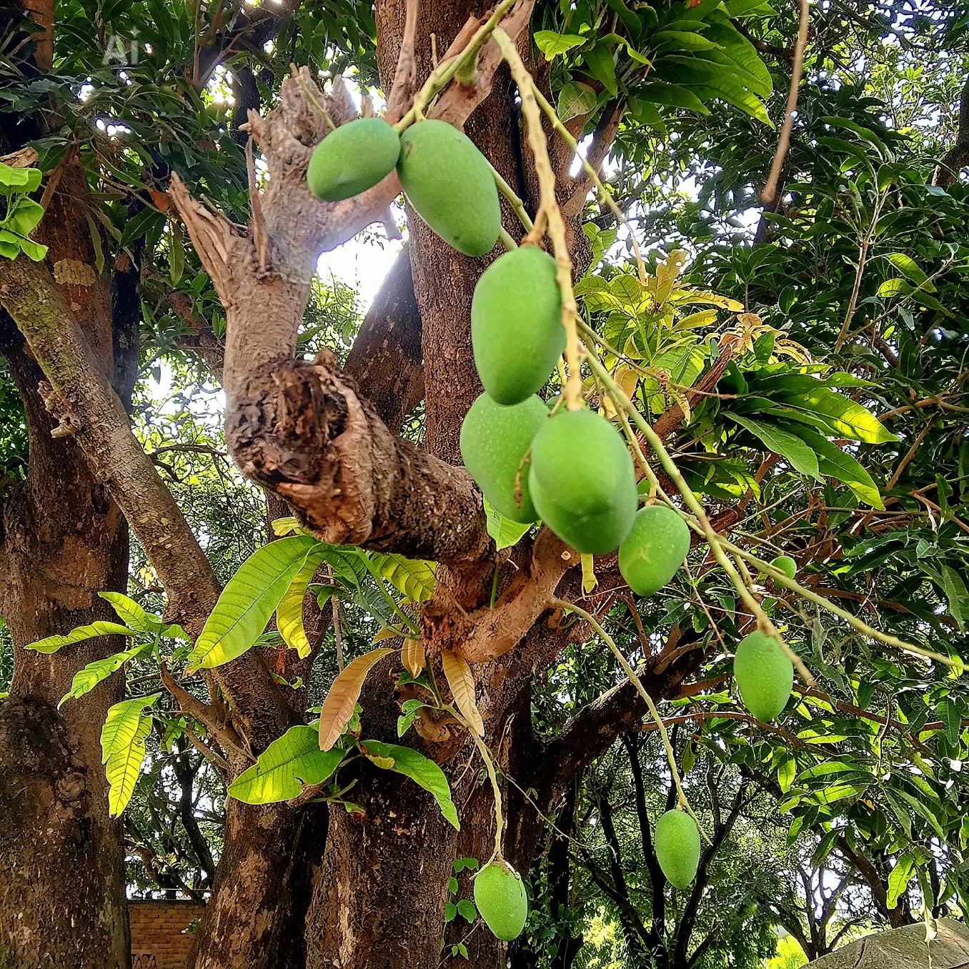 @Mukesh Yadav