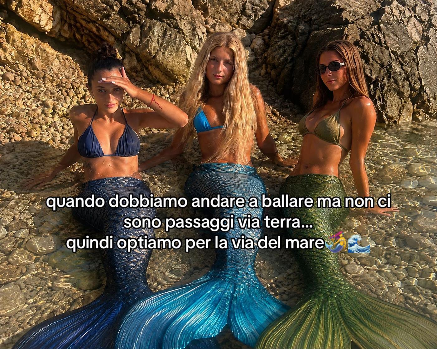 @Greta Gitto