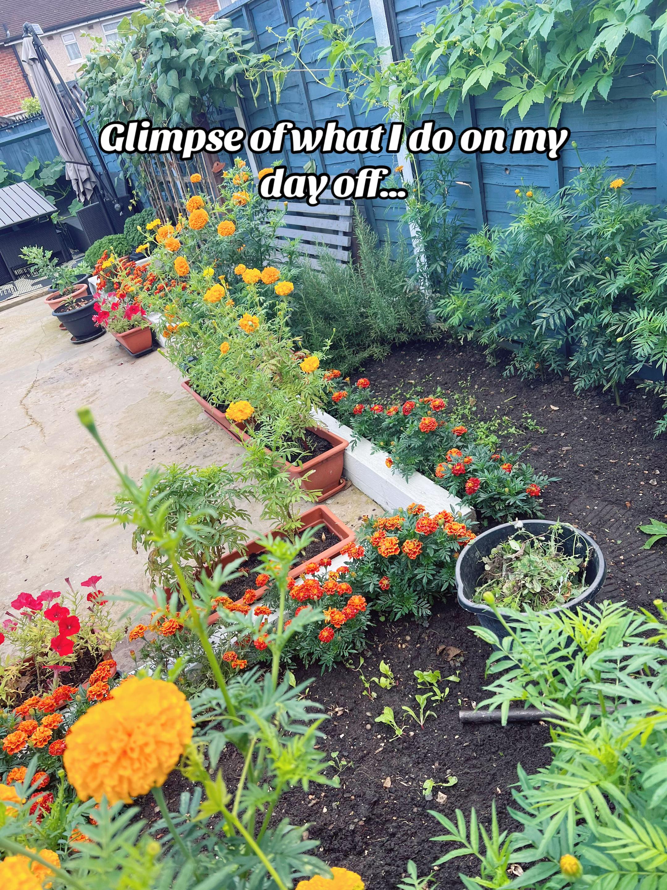 @Si🌻
