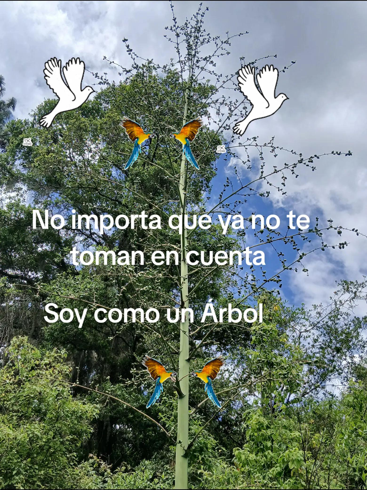 @Martina Porras