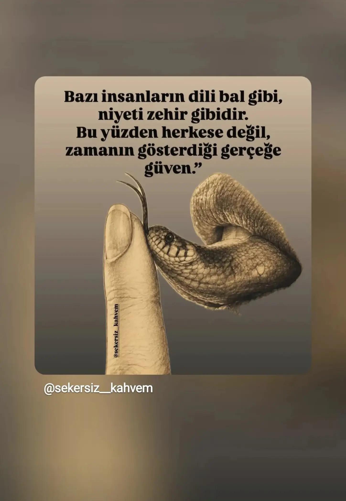 @aslani&ccedil;e