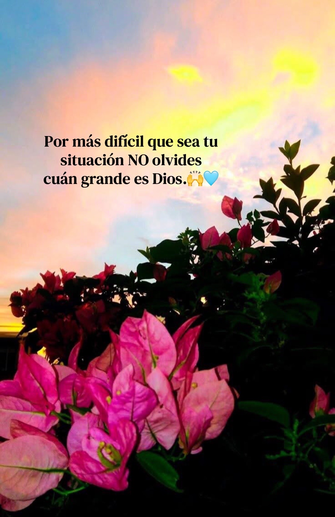 @🦋ƑÃŘƑÃĹĹà βĹǗẸ ŘỖβ🩵