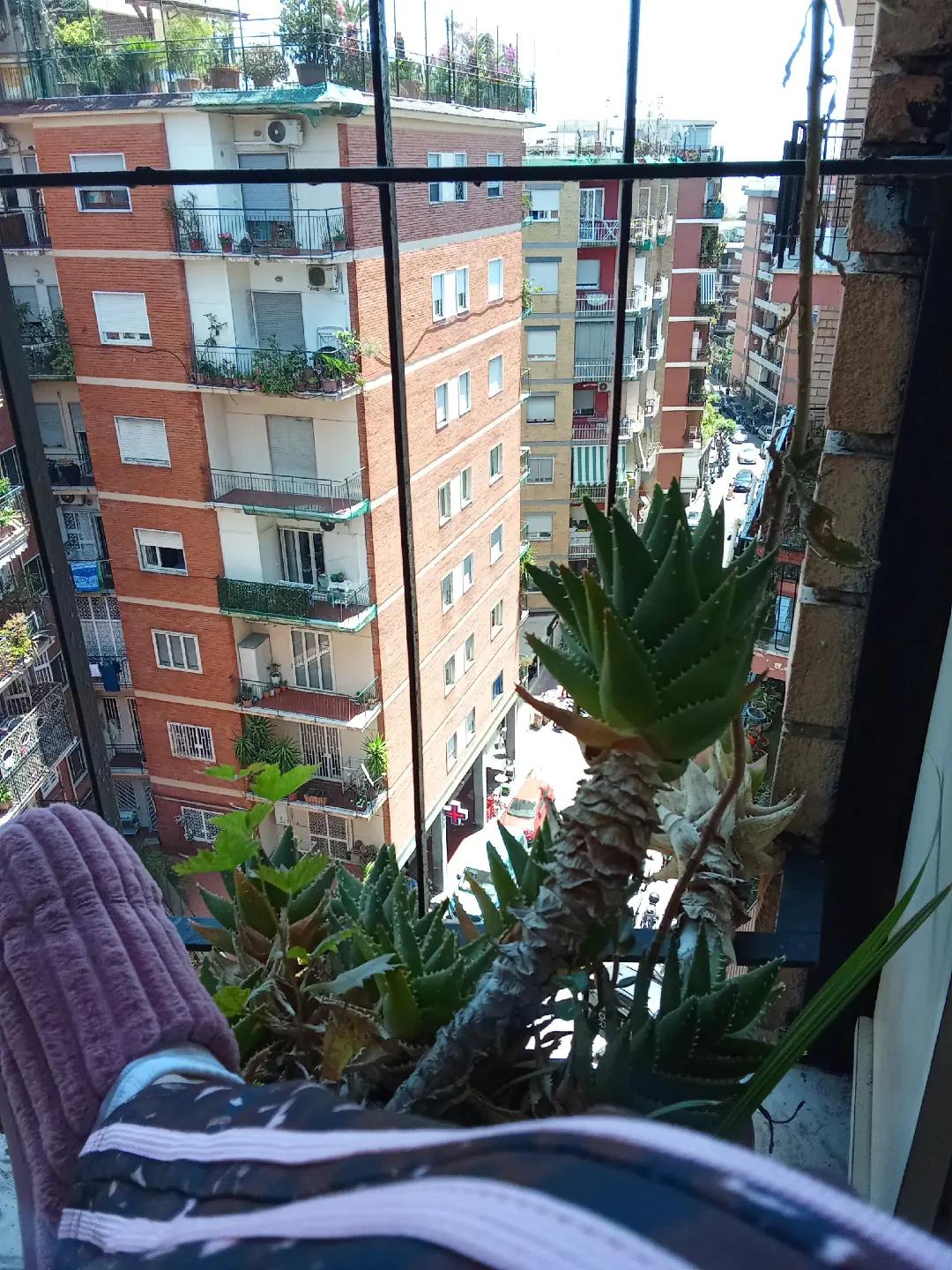 @mariachirichella211069
