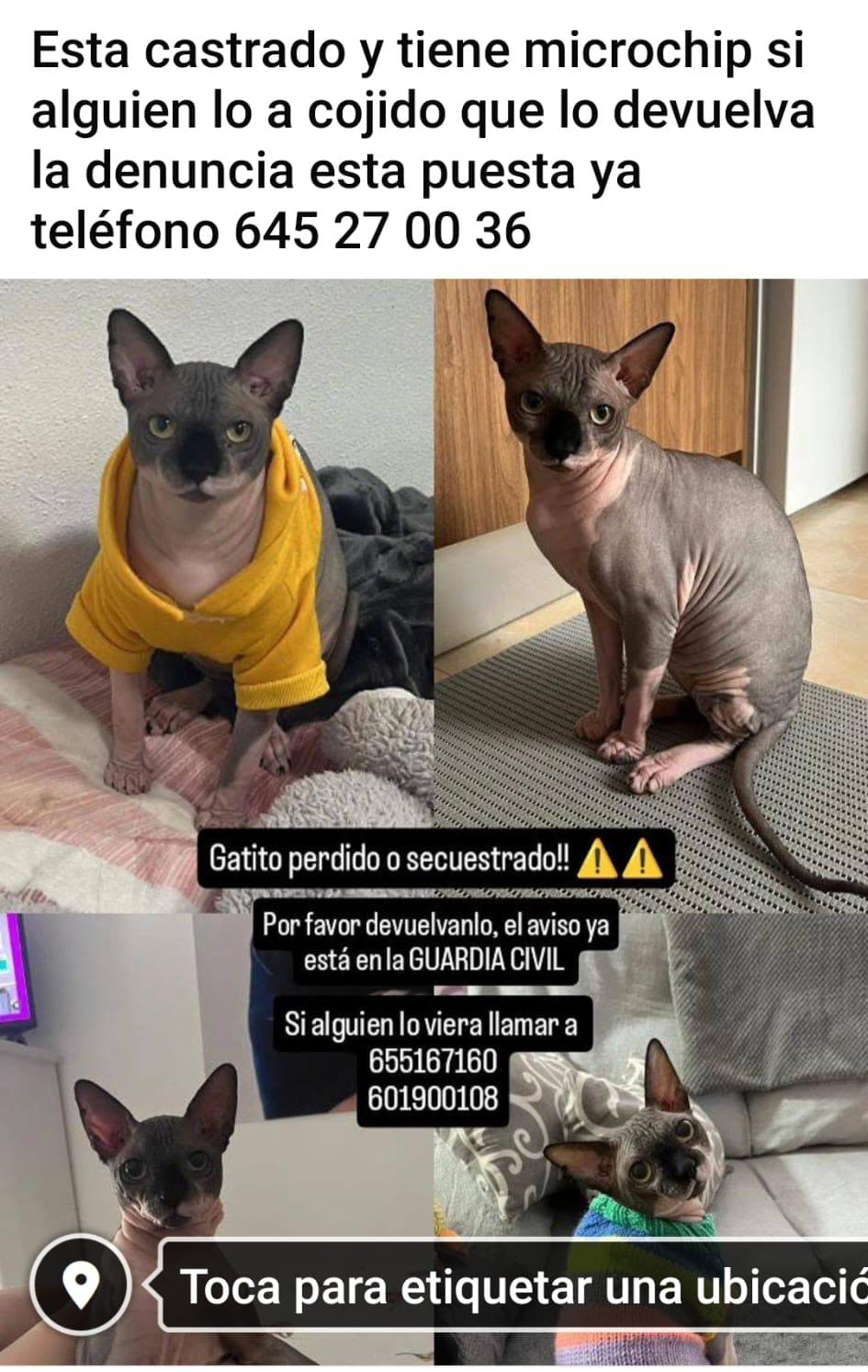 @la Barbie de mula 2