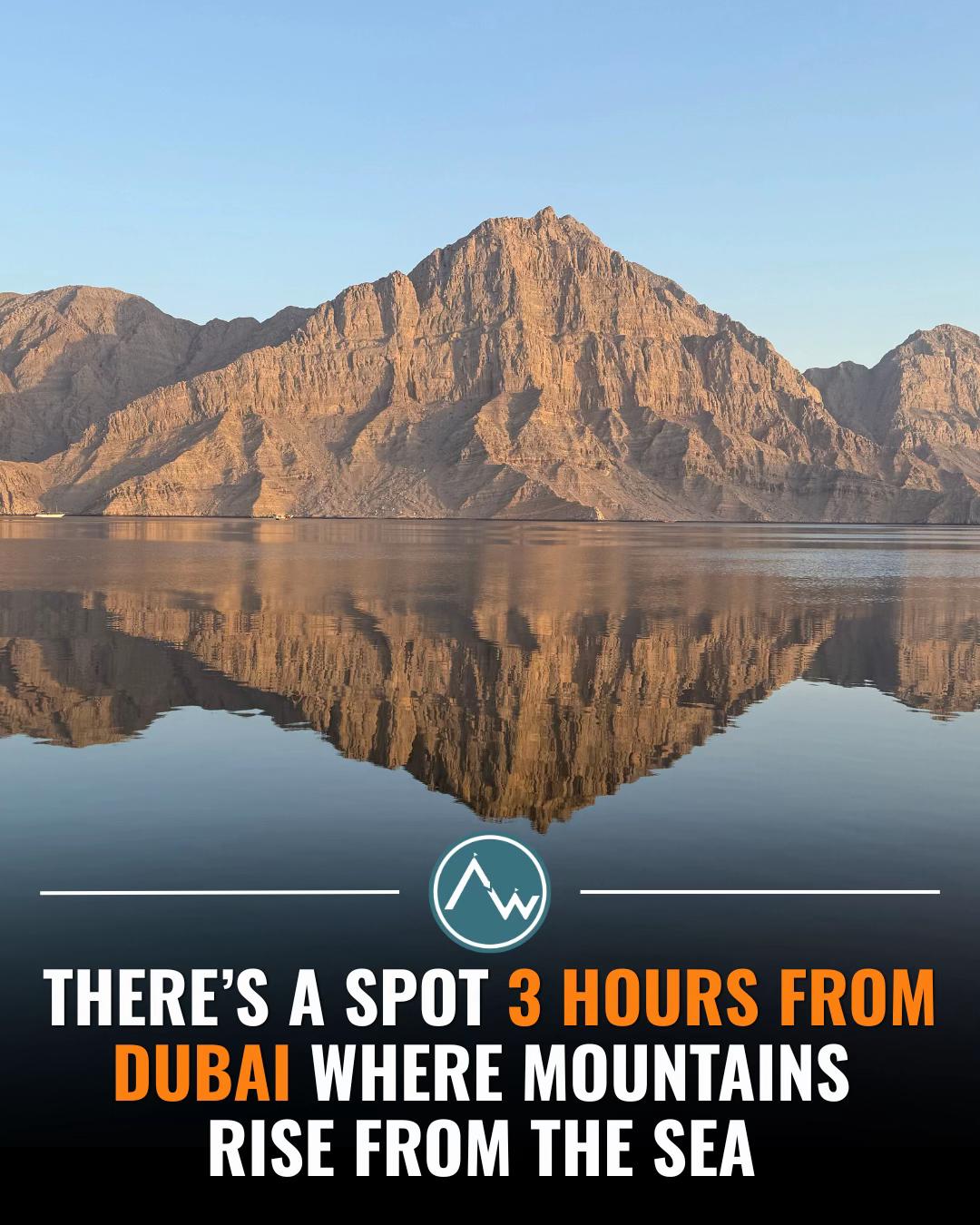 @Arabian Wanderers