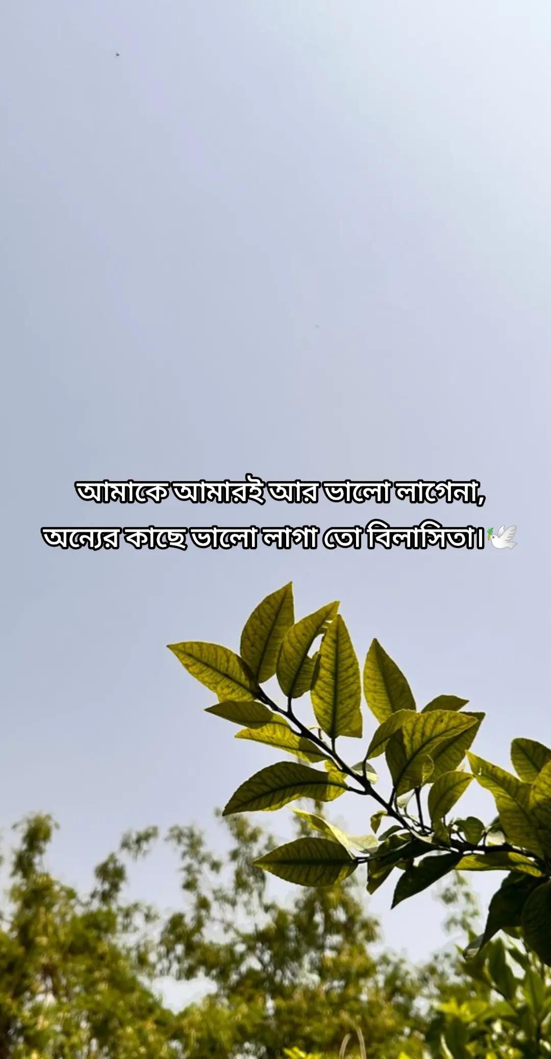 @Ꭾʀ!ᴍᴇ"ᴀʟɪ"