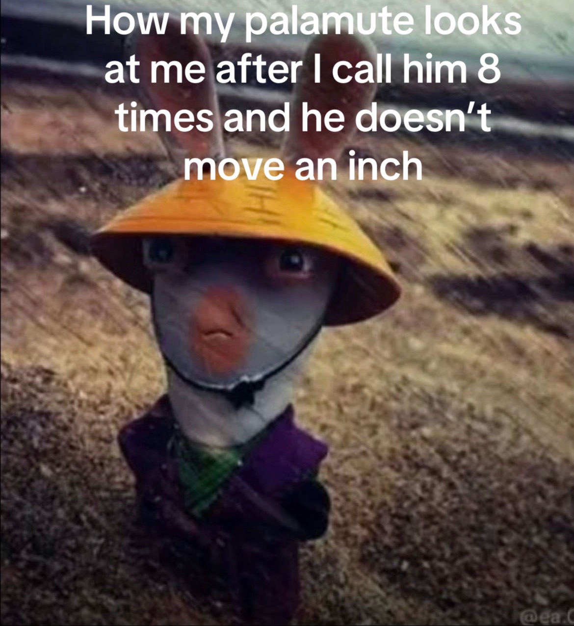 @Draco