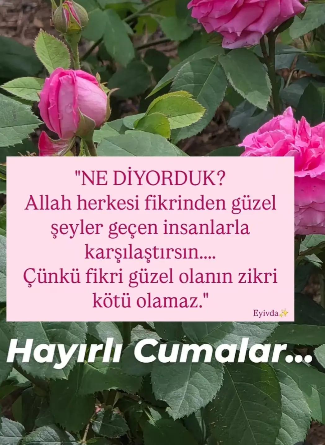 @Fatma Güzelaydın