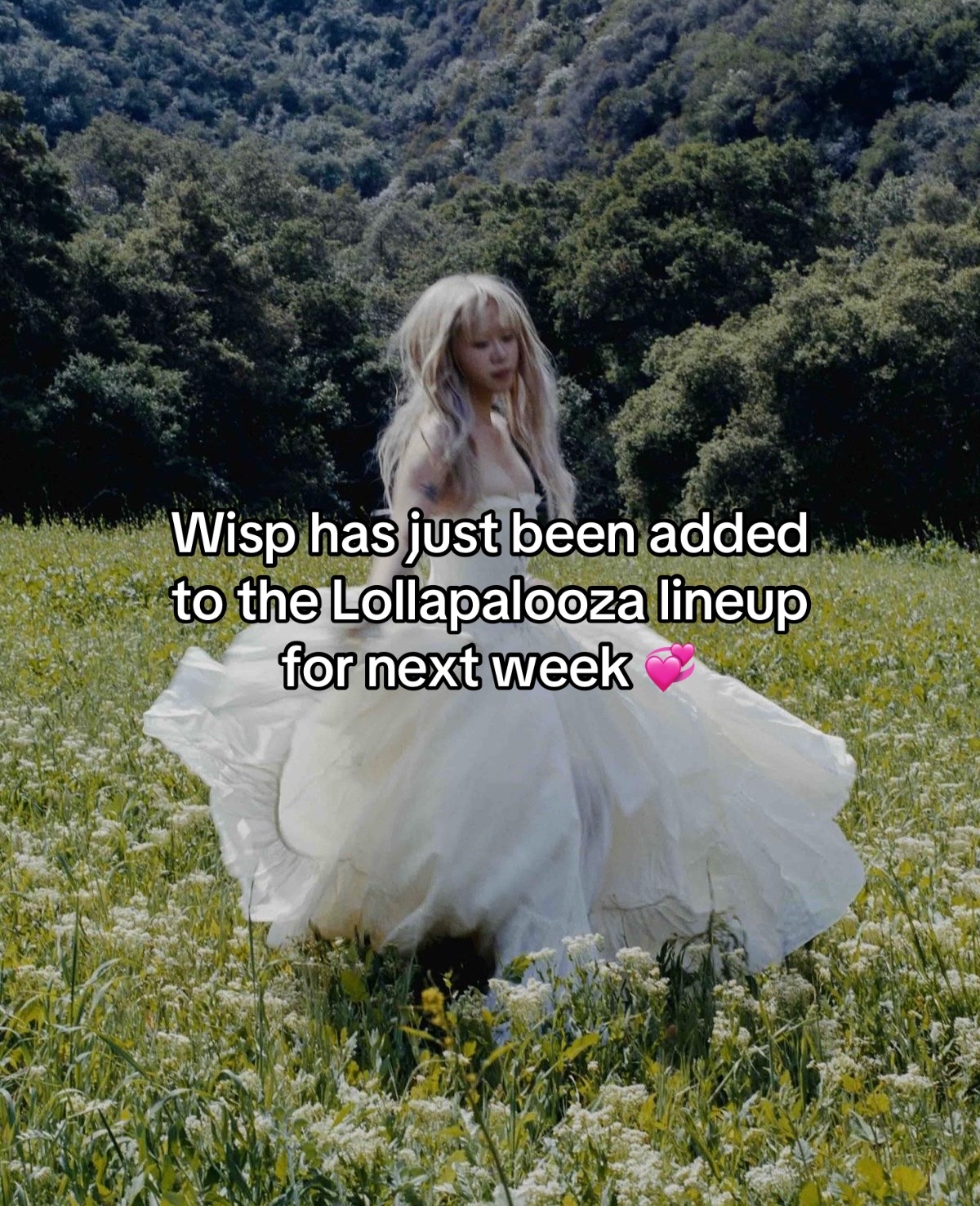@wisp fan page