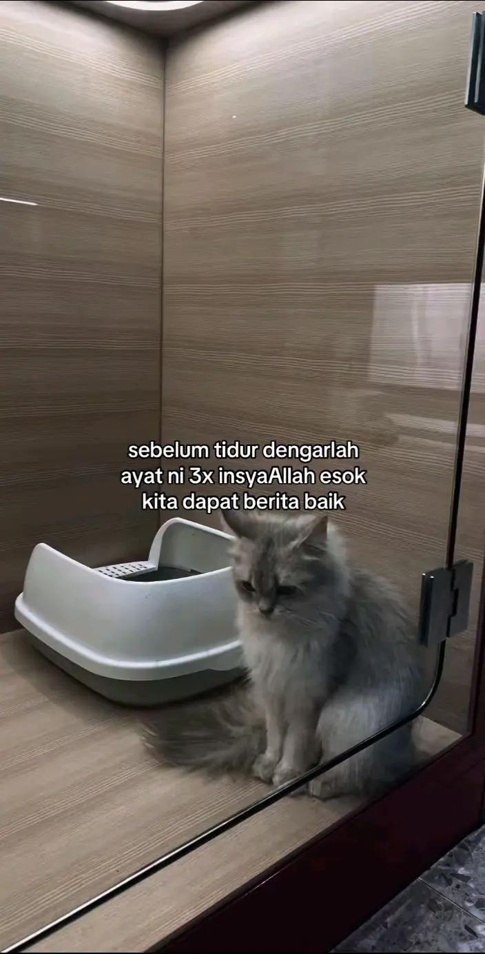 @๐ุนุงุฆุดุฉ