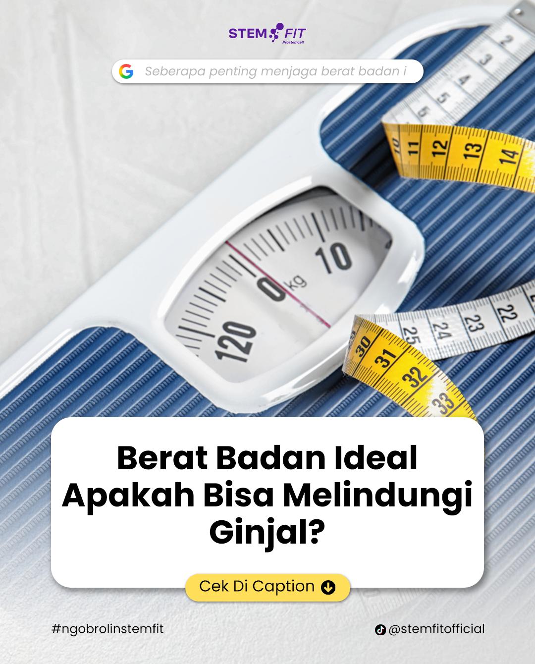 @Stemfit Official