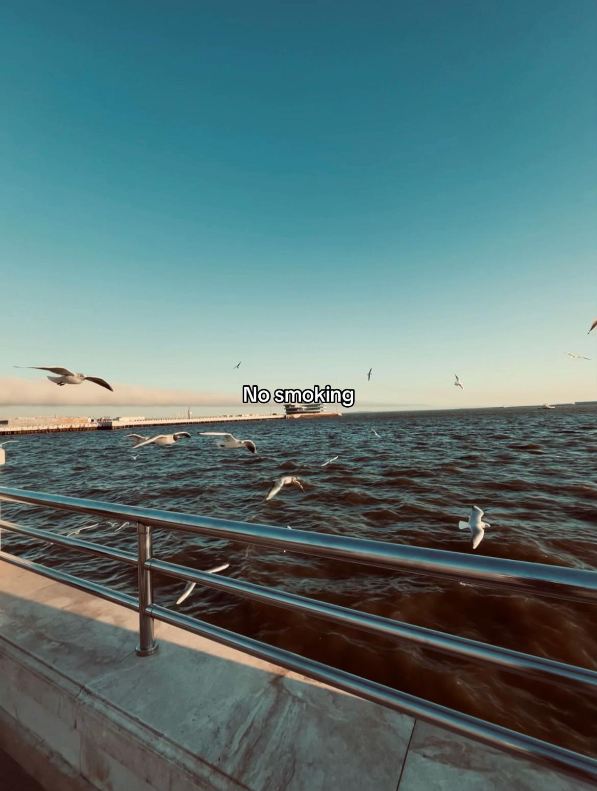 @Maqaa🇹🇷