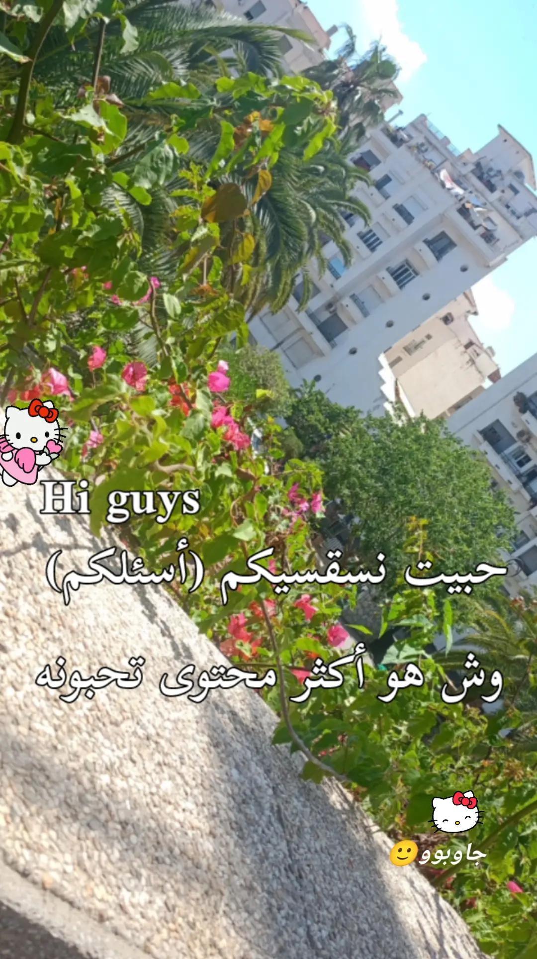 @𝓝𝓽𝓴.𝓷𝓸𝓾𝓷
