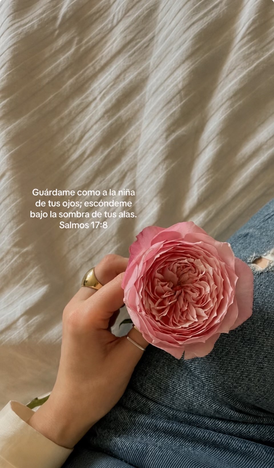 @Antonellamazzotta