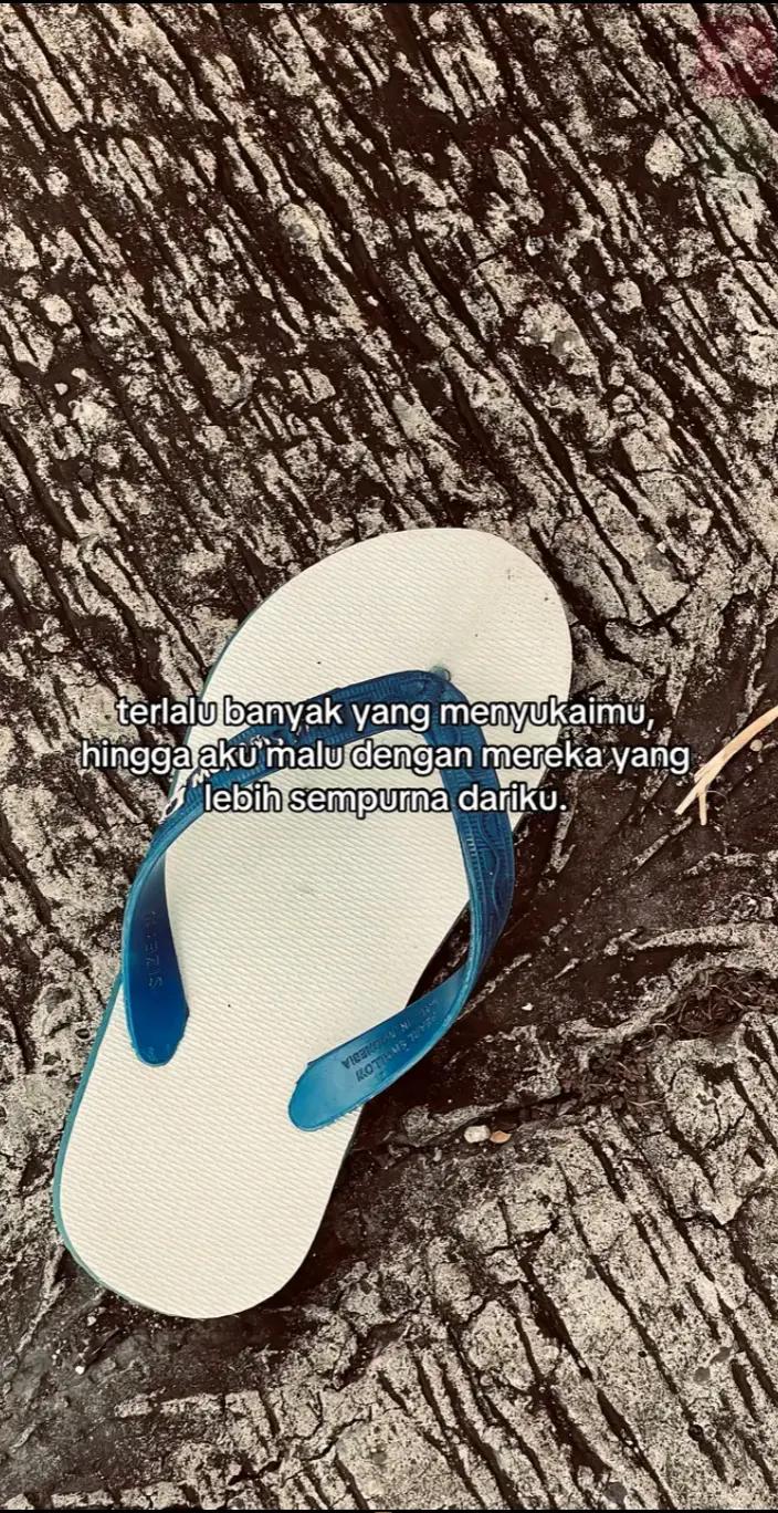 @farel cca