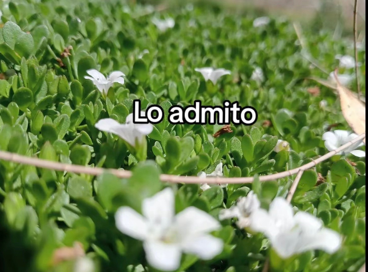 @ISA💗