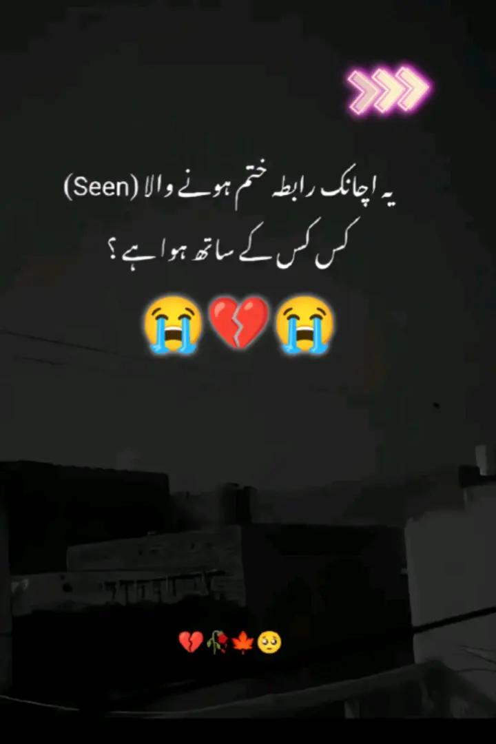 @AliHaider786🦁😎💫