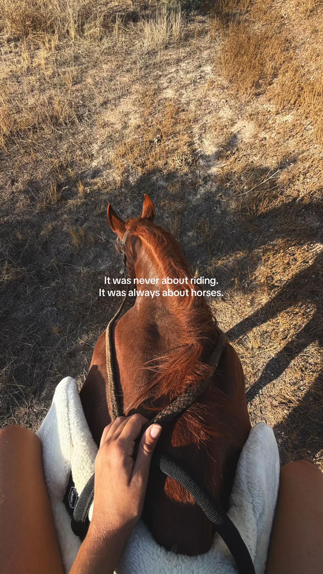 @MyHorse