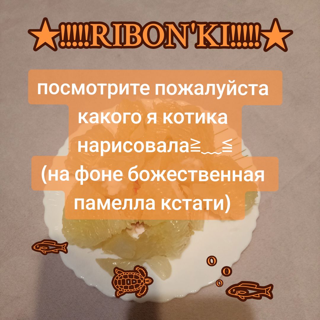 @별Мōрсэээ