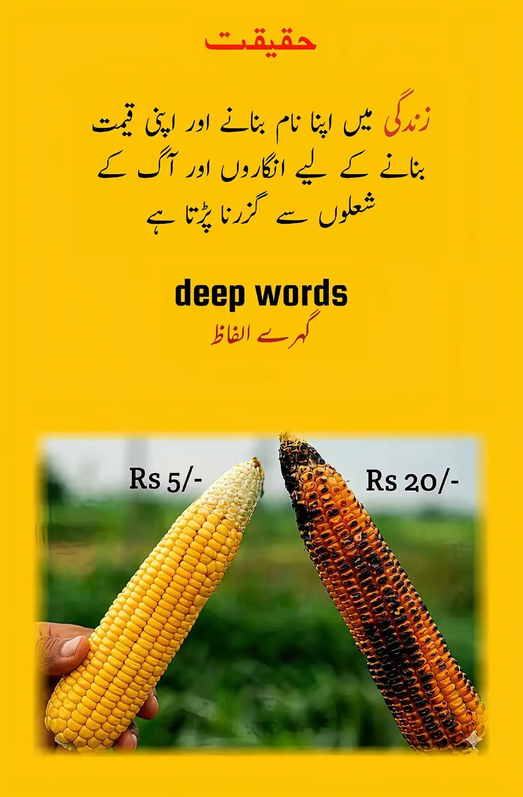 @Asif Ali Bhatti