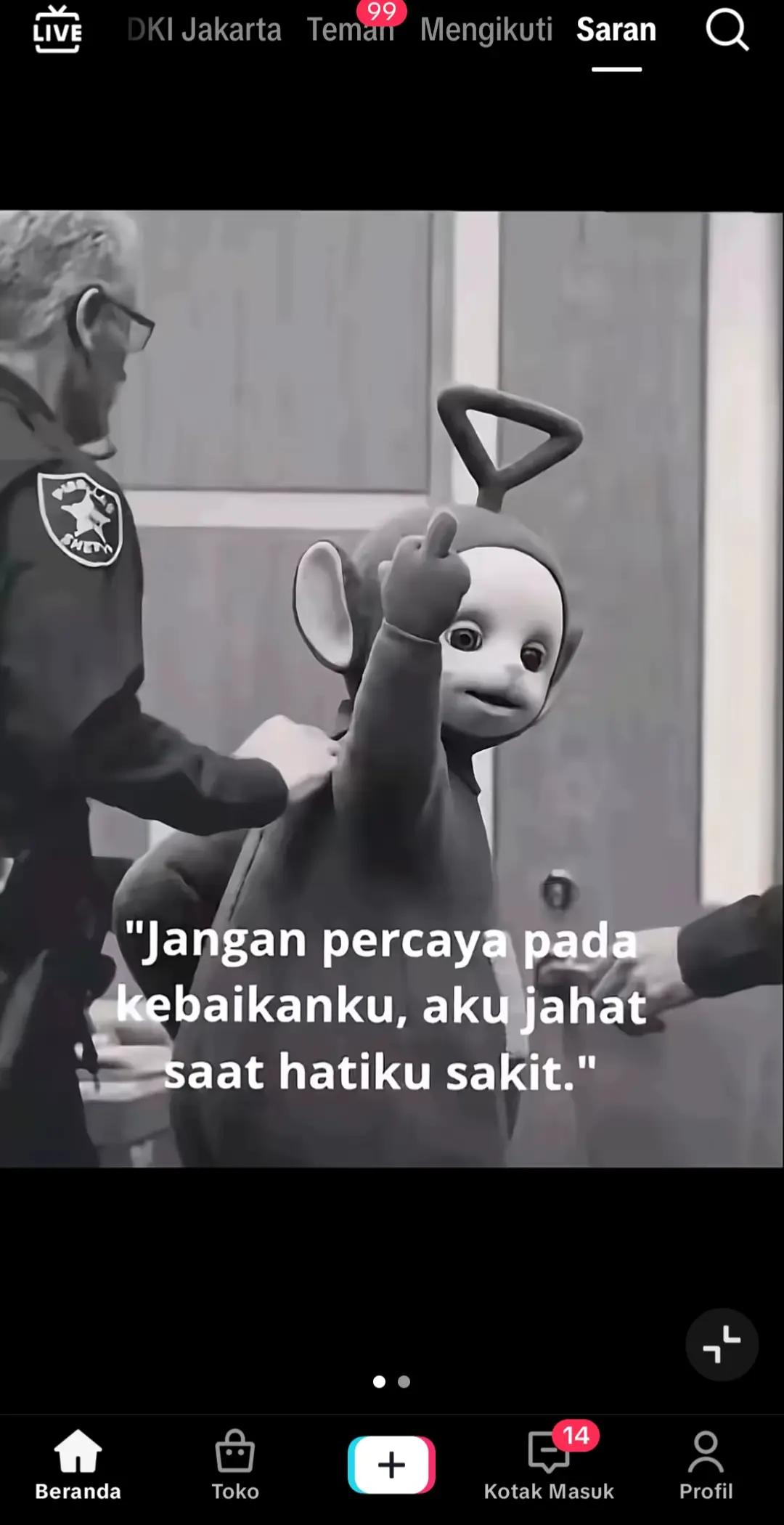 @🐱