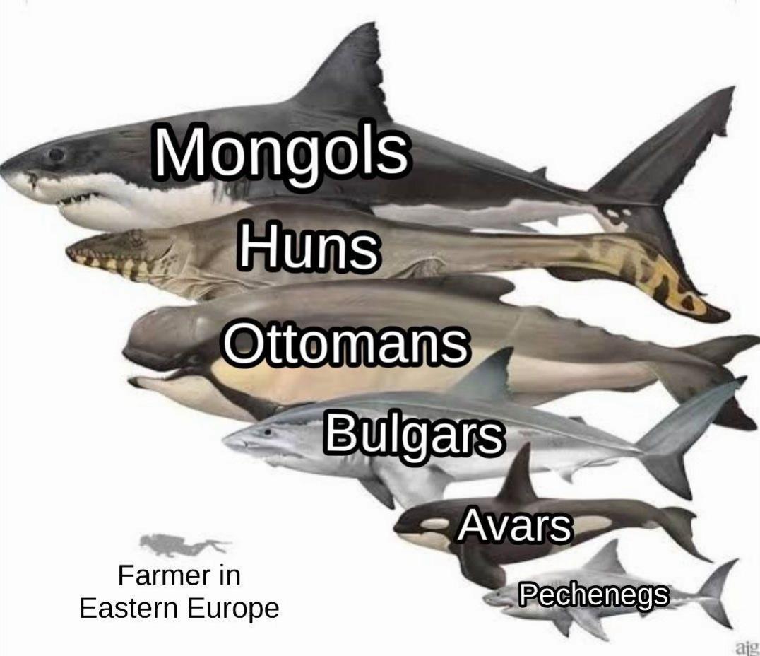 @🇹🇷🇹🇲🇰🇿🇺🇿💙☪️🇦🇫🇹🇯🤘