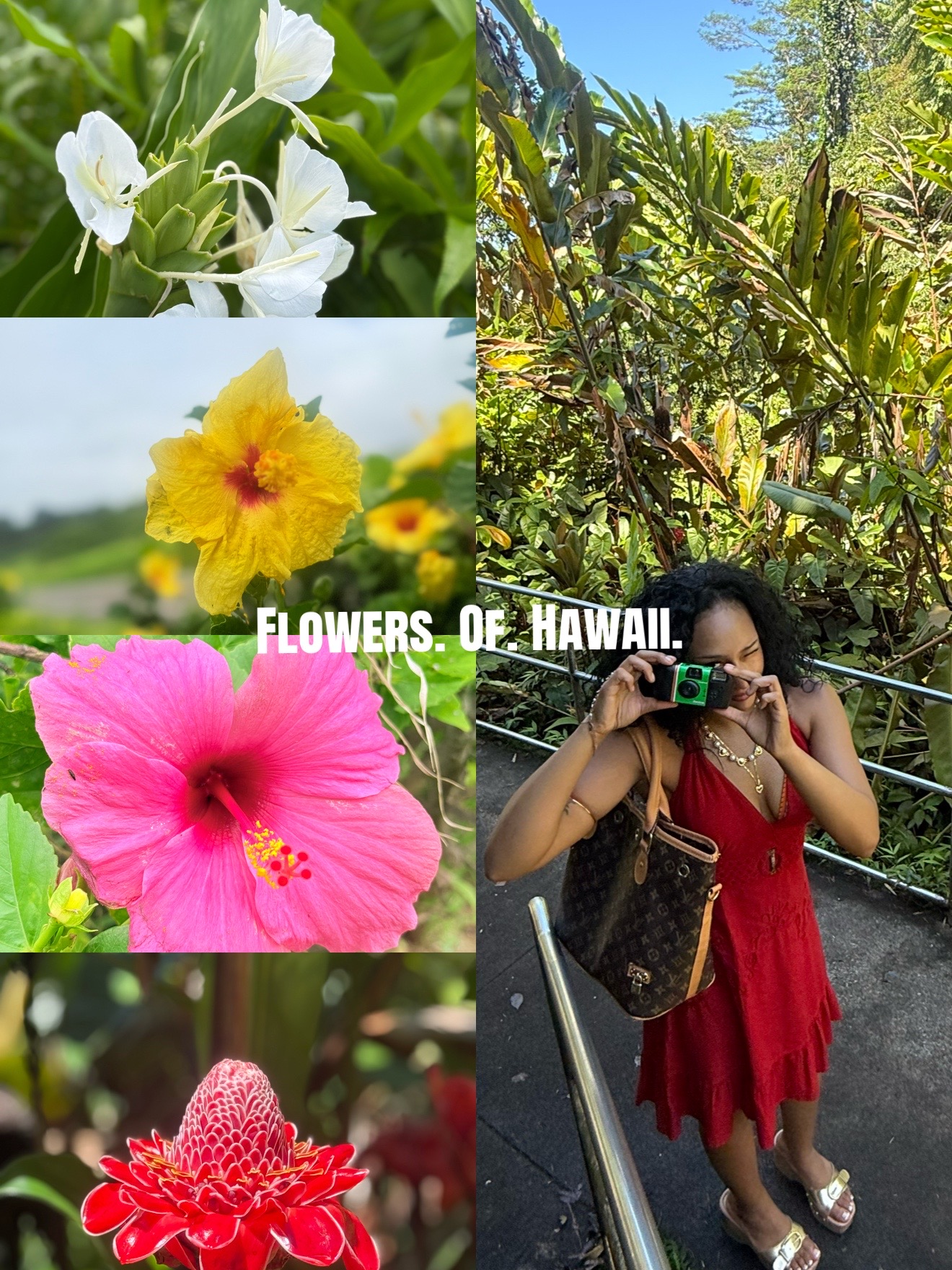 @nevaehhcarter