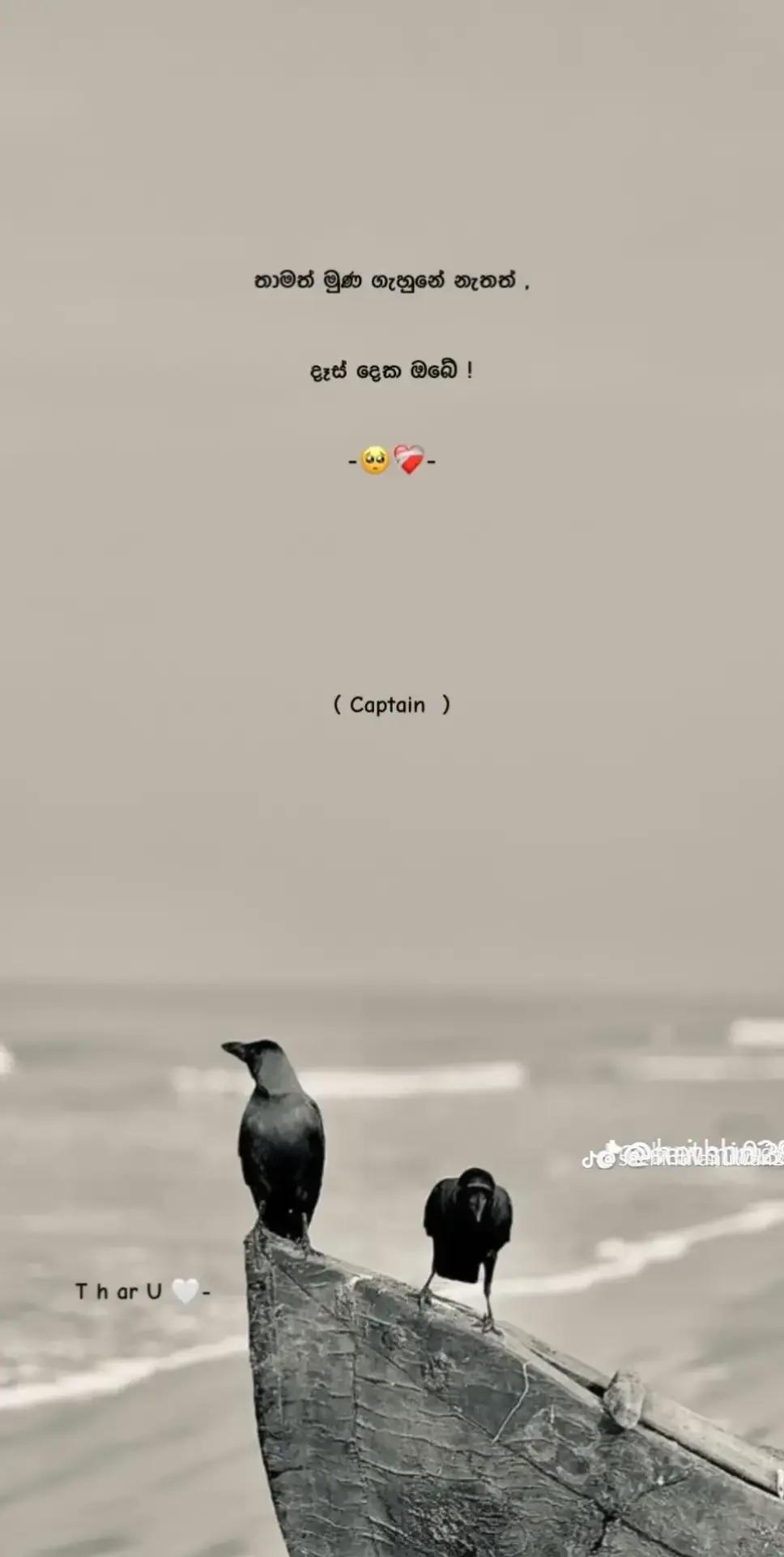@Tharu k samarakoon 🇰🇷⚡😚