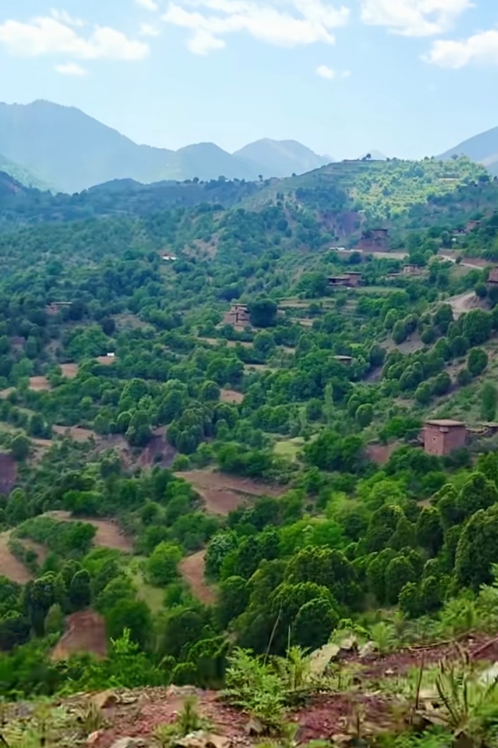 @𝐌𝐀𝐍𝐒𝐎𝐎𝐑🌲🦅𝐀𝐫𝐦𝐚𝐧𝐢