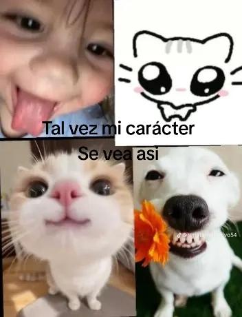 @hijo de don to&ntilde;o