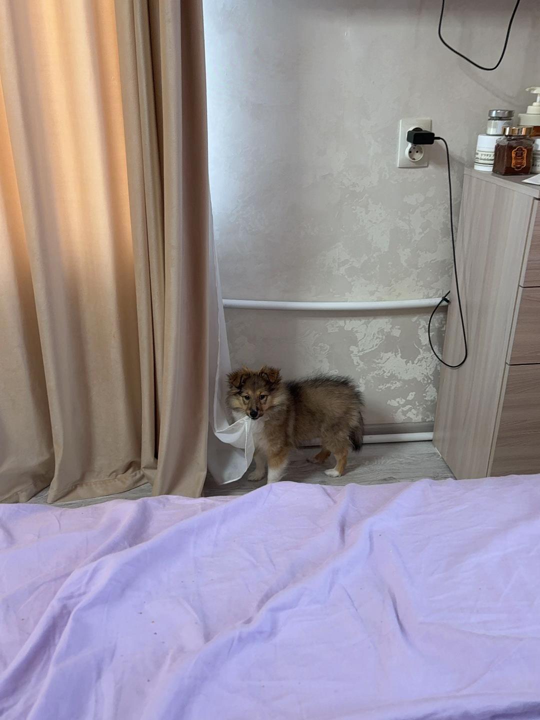 @улька