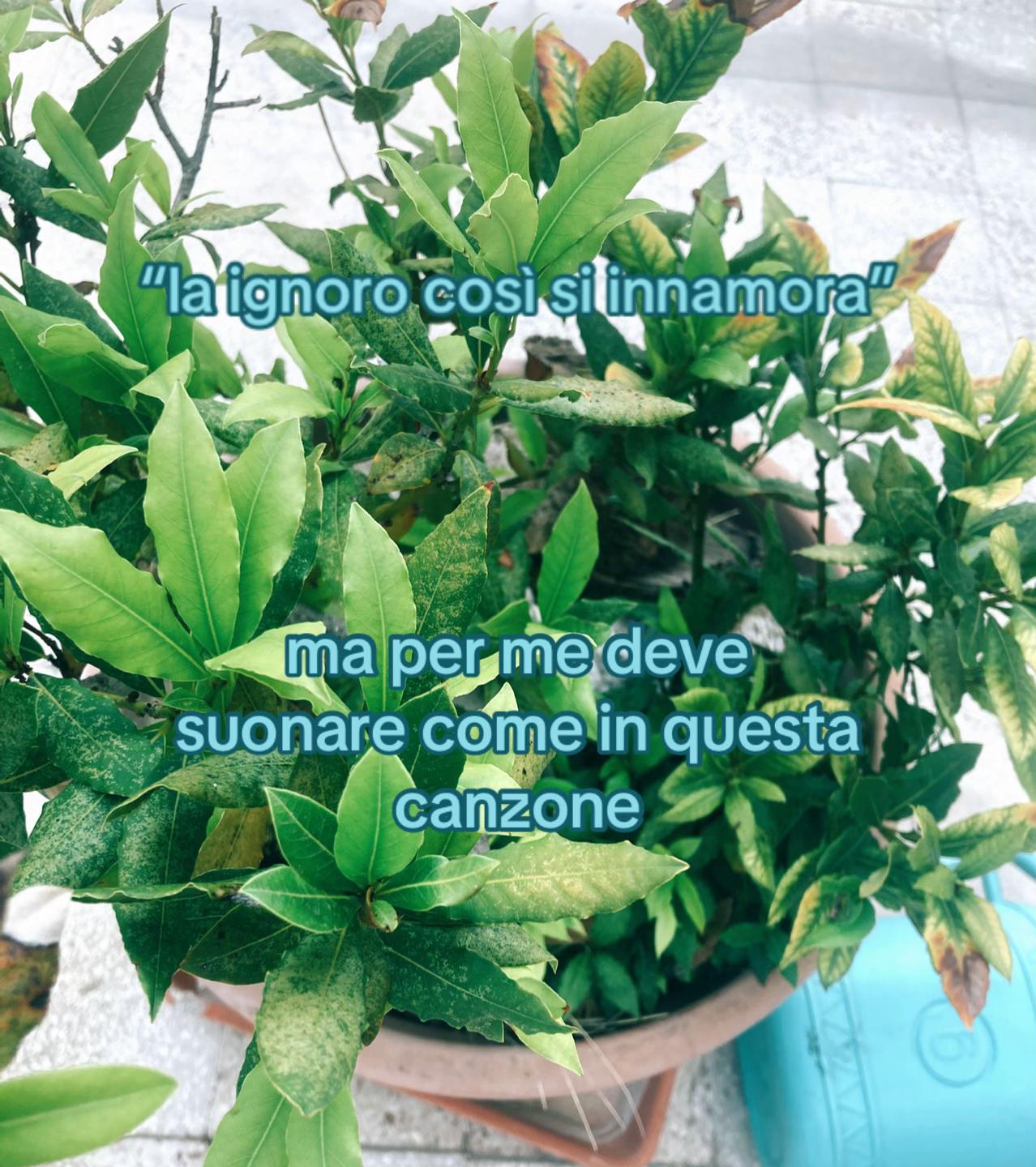 @just.4.l0s3r