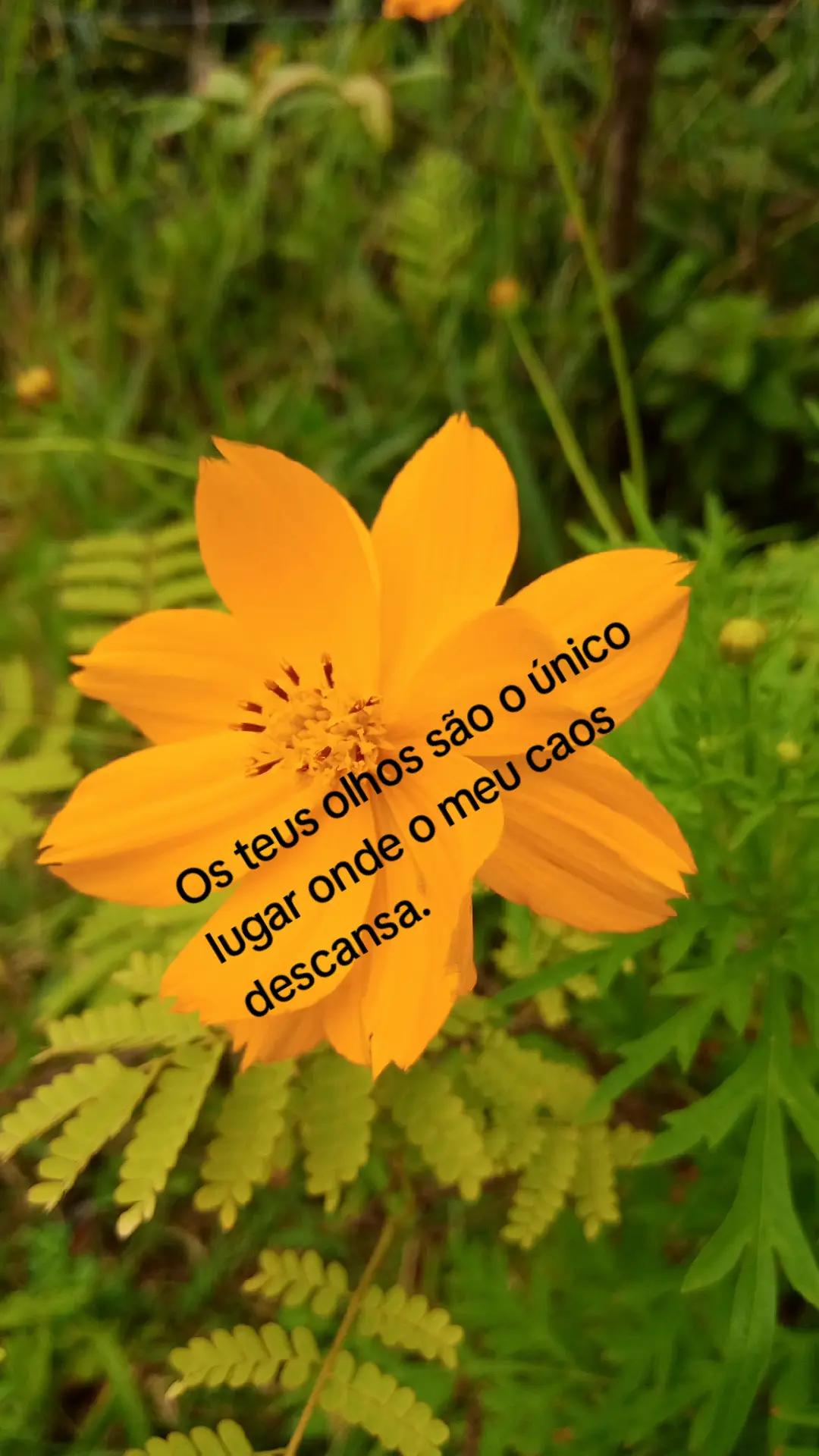 @..🍀
