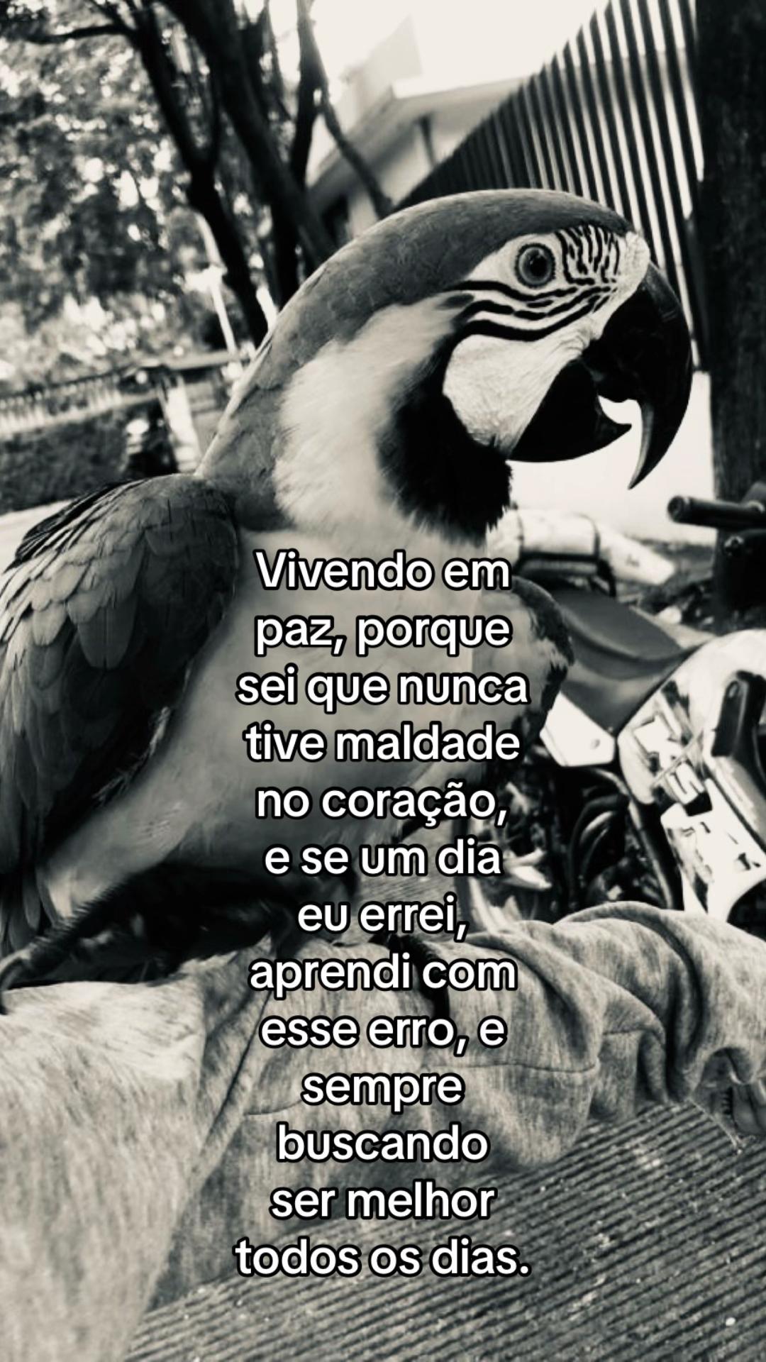 @junin 