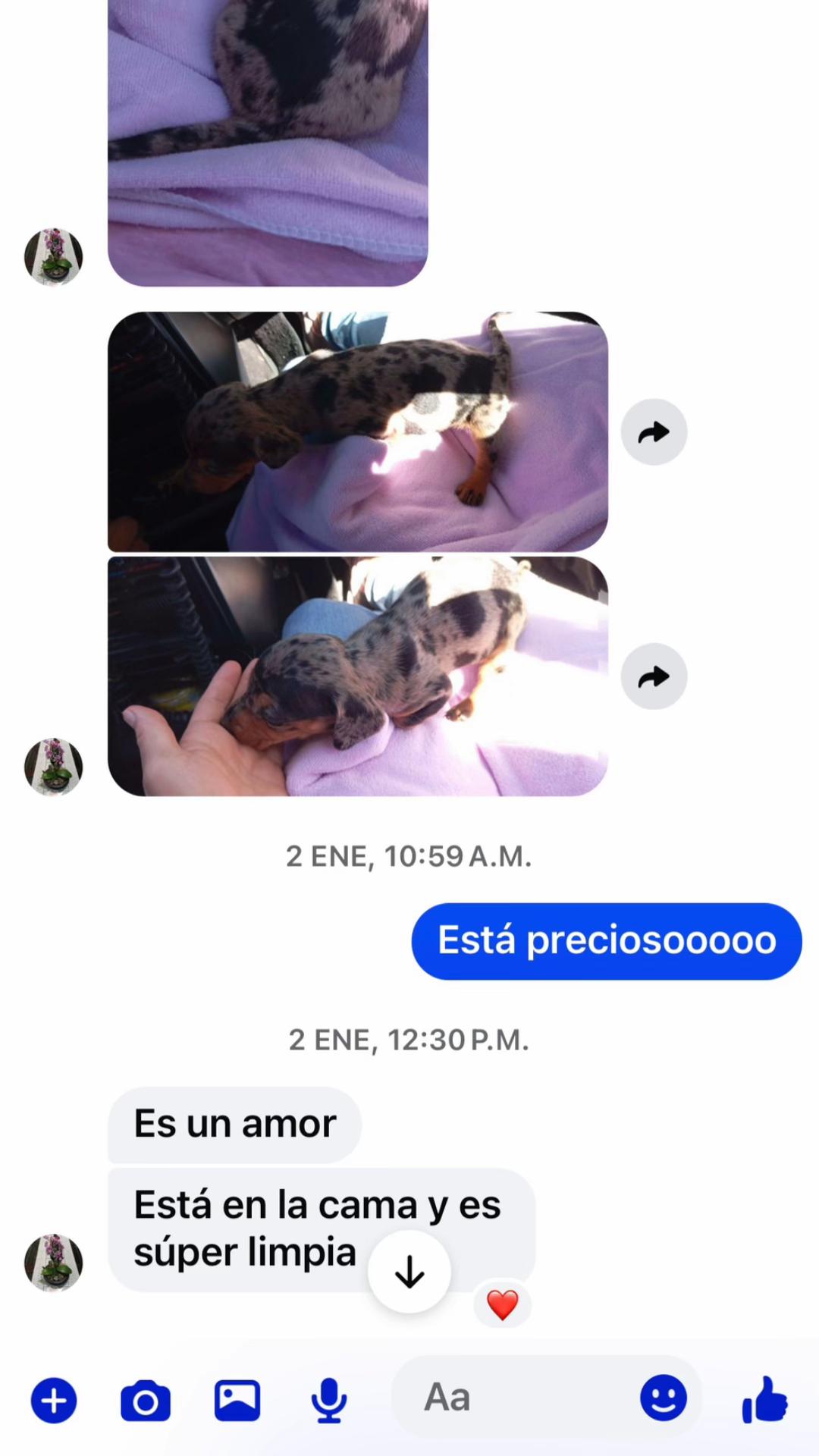 @Moni