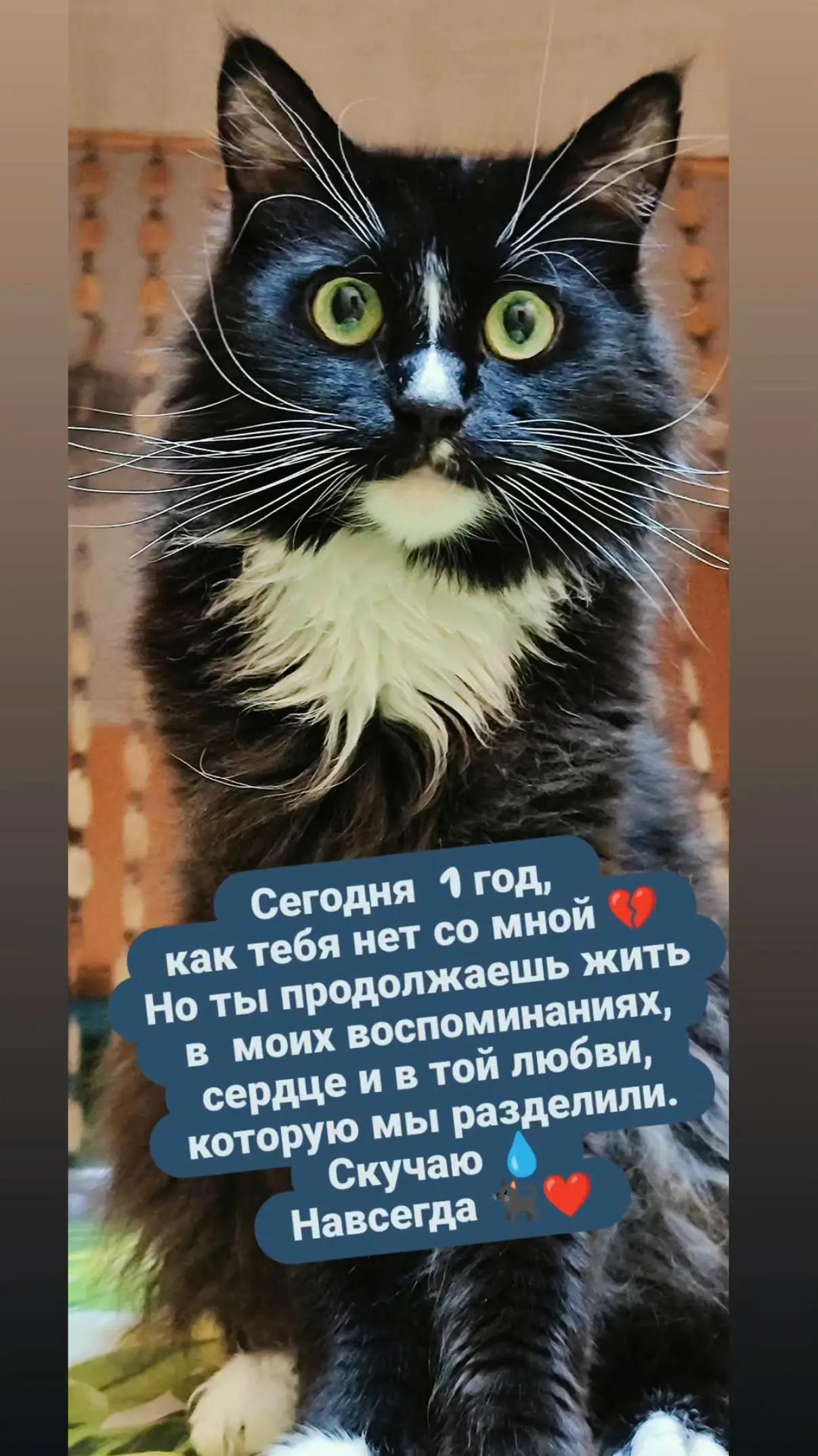 @Алина Малинина✅