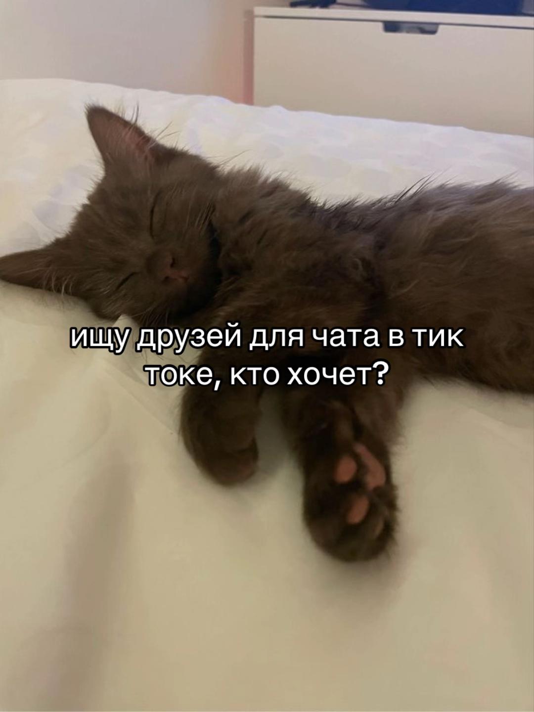 @Lilishka