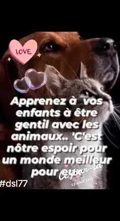 @Marie 👩&zwj;🦳 et Jolicoeur🐶🐾