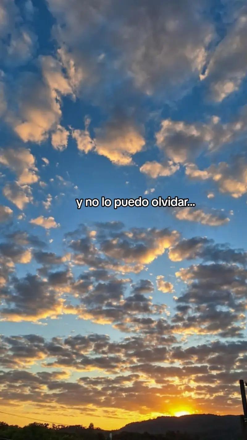 @FAN DE BAKUDEKU🧡💚