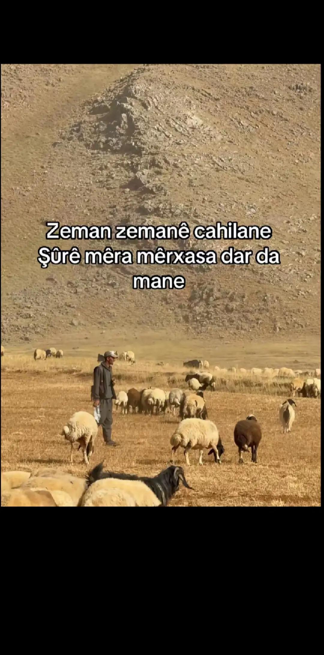 @Tuncay34